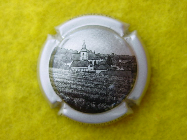 Photo de la capsule