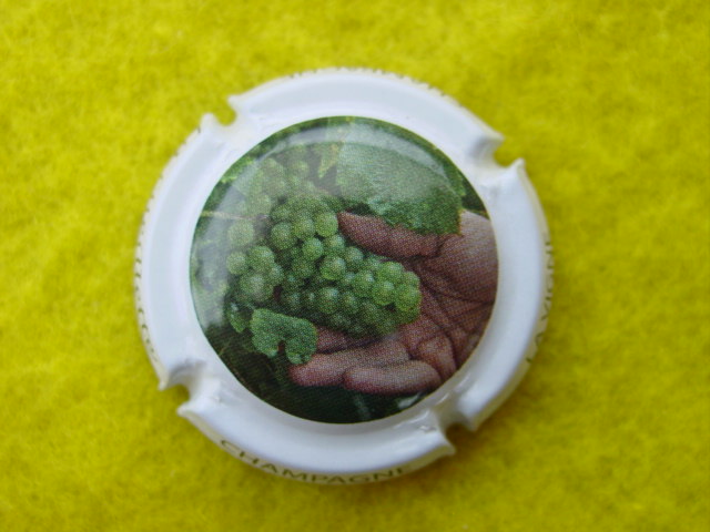Photo de la capsule