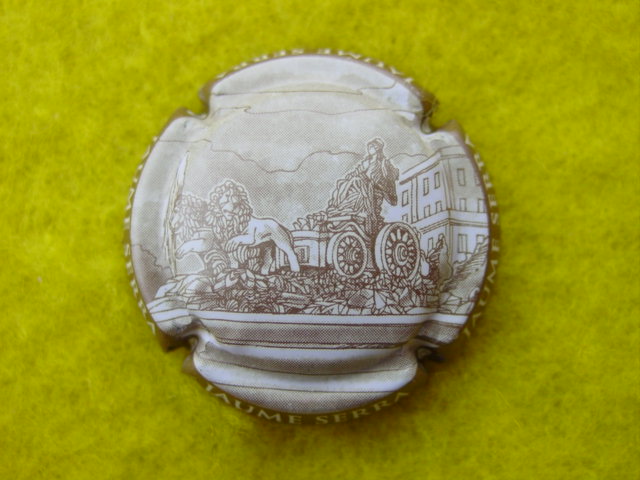 Photo de la capsule