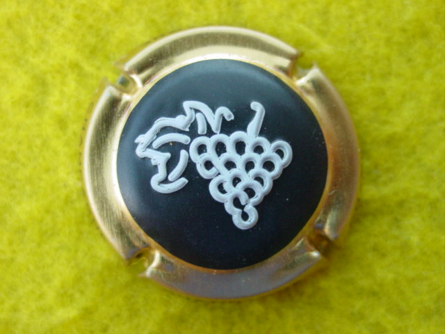 Photo de la capsule