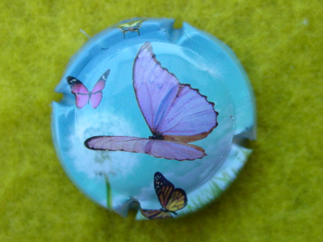 Photo de la capsule