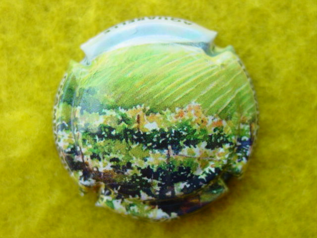 Photo de la capsule