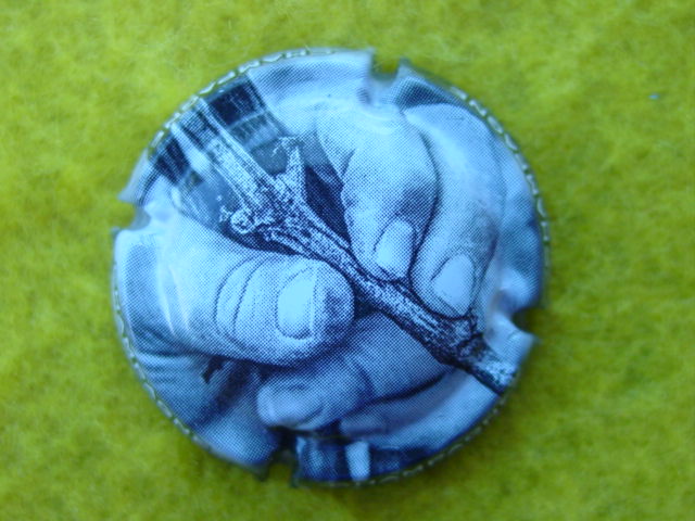Photo de la capsule