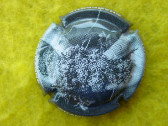 Photo de la capsule
