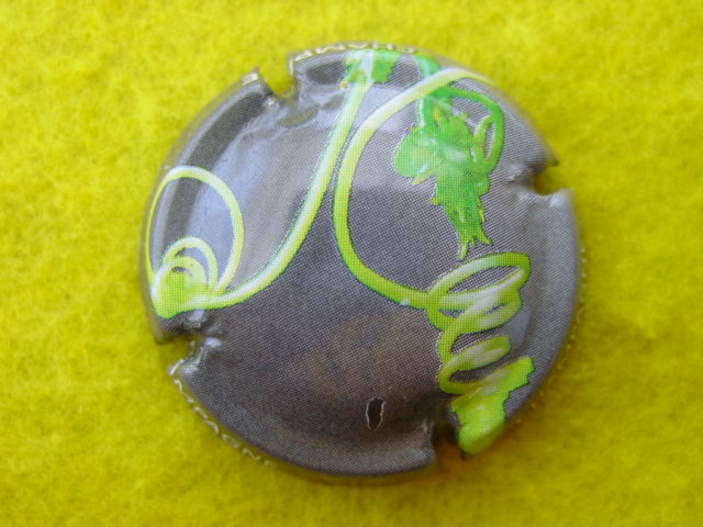 Photo de la capsule
