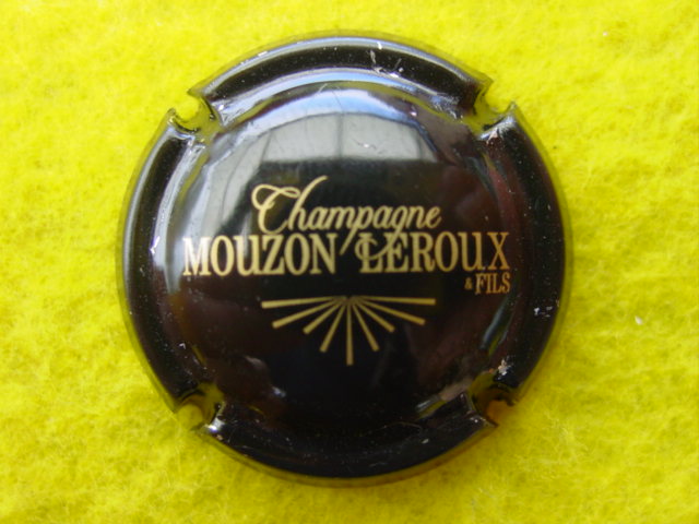 Photo de la capsule