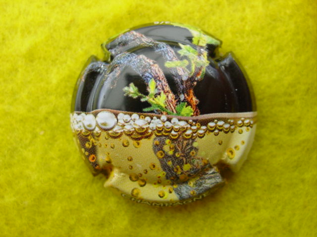 Photo de la capsule