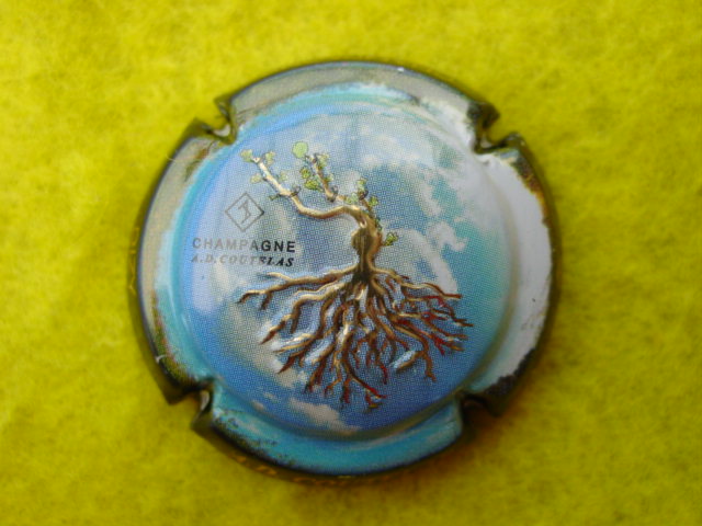 Photo de la capsule