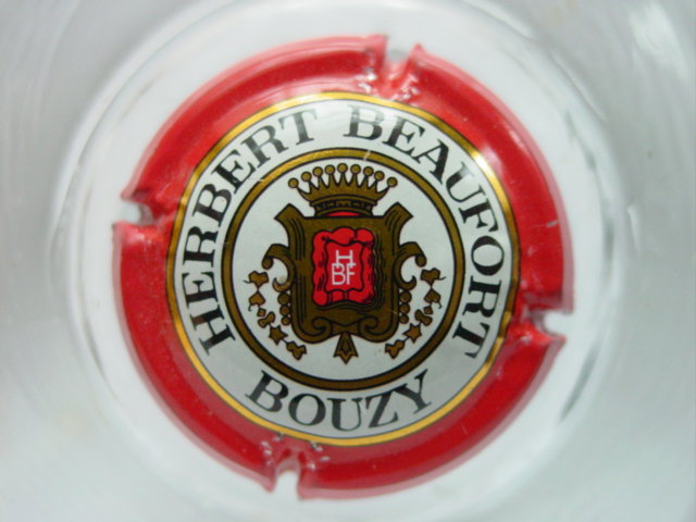 Photo de la capsule