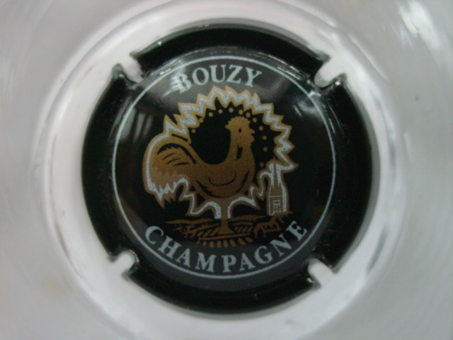 Photo de la capsule