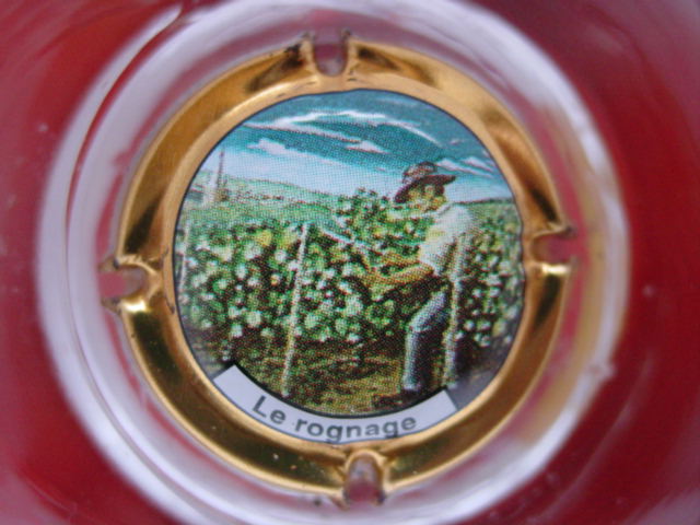 Photo de la capsule