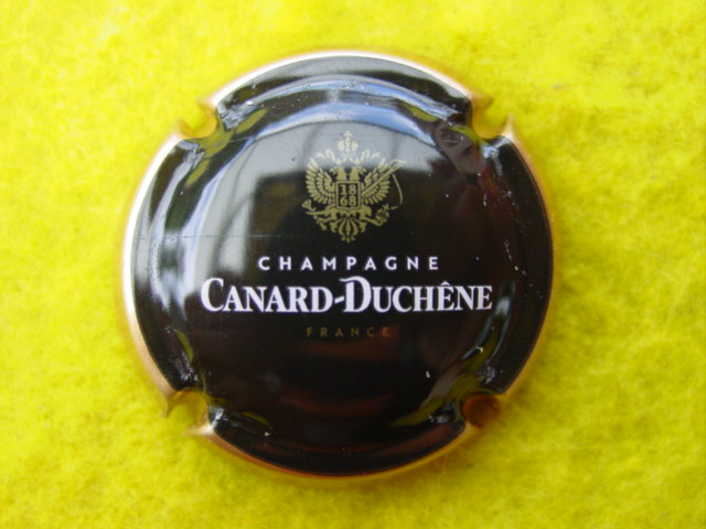 Photo de la capsule