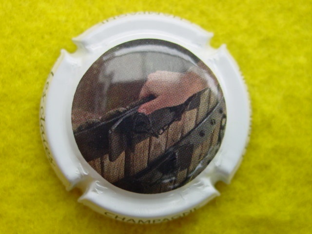 Photo de la capsule