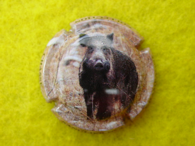 Photo de la capsule