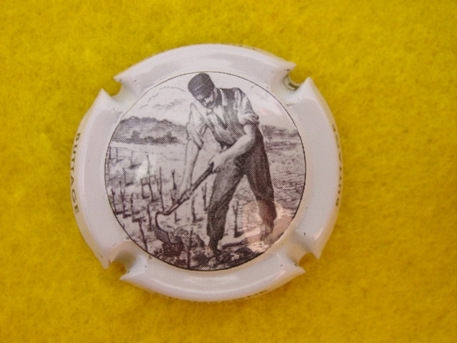 Photo de la capsule