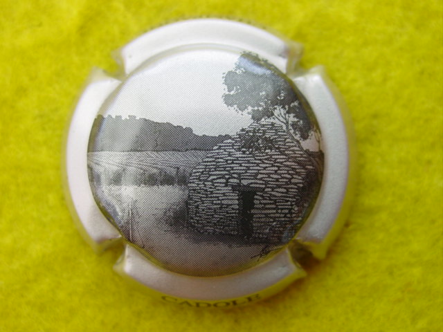 Photo de la capsule