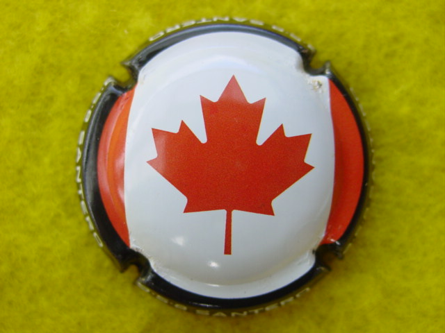 Photo de la capsule