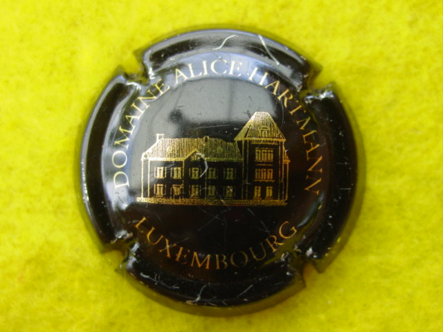 Photo de la capsule