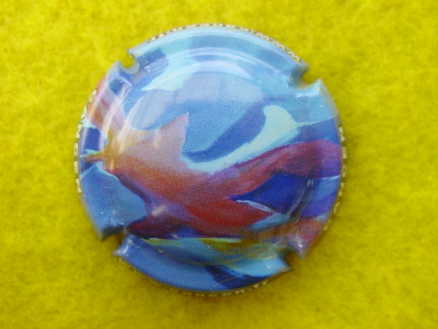 Photo de la capsule