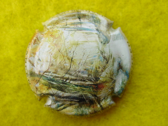 Photo de la capsule