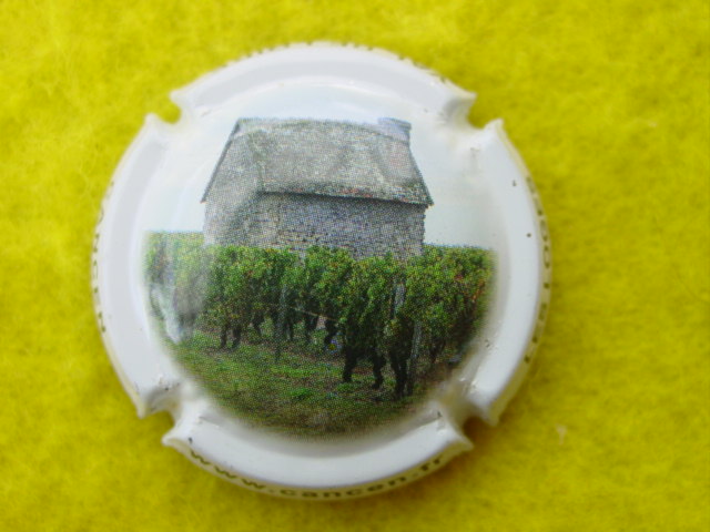 Photo de la capsule