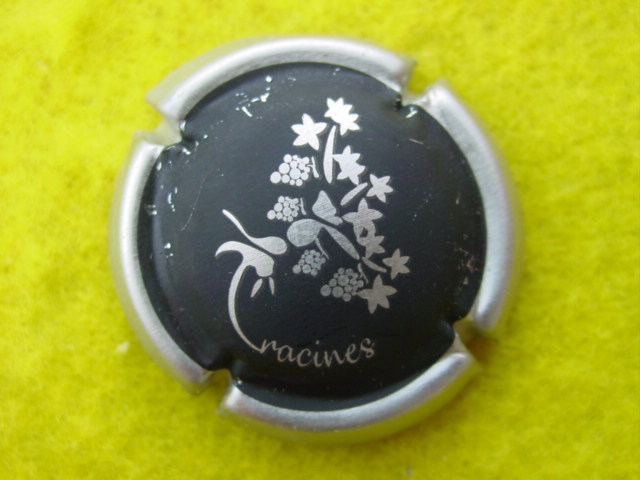 Photo de la capsule