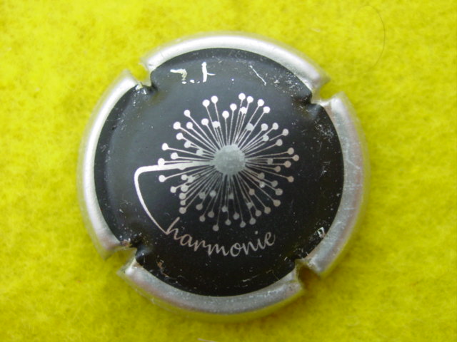Photo de la capsule