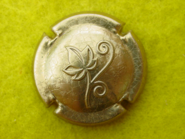 Photo de la capsule