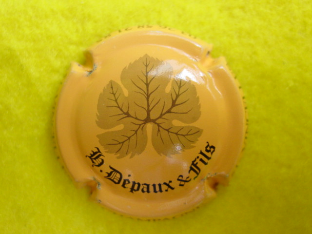 Photo de la capsule