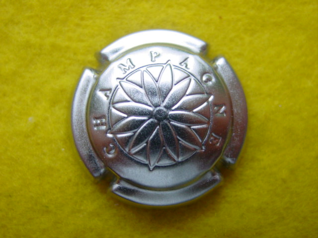 Photo de la capsule