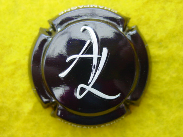 Photo de la capsule