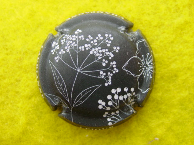 Photo de la capsule