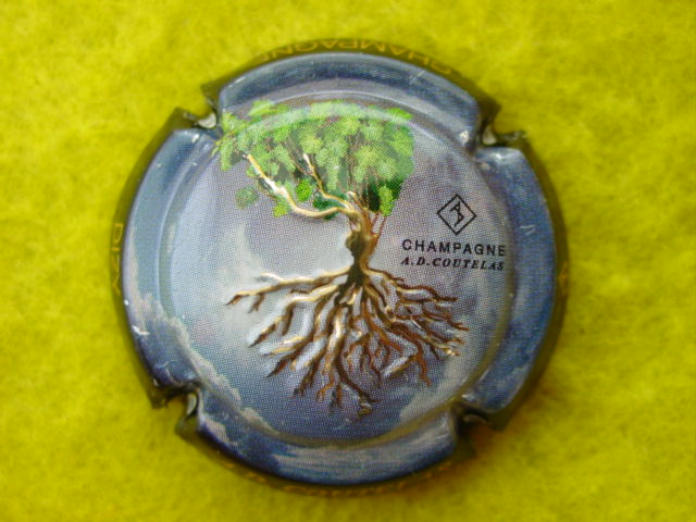 Photo de la capsule