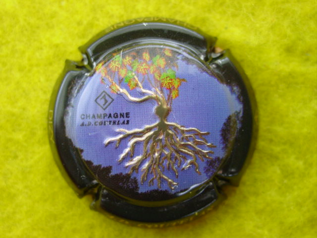 Photo de la capsule