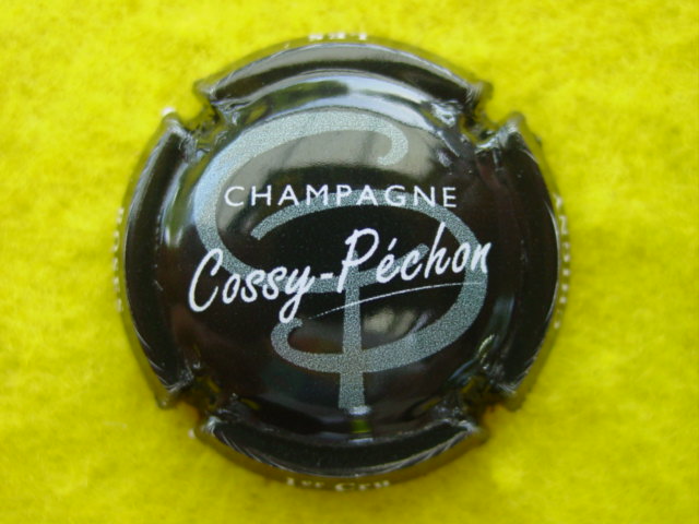 Photo de la capsule