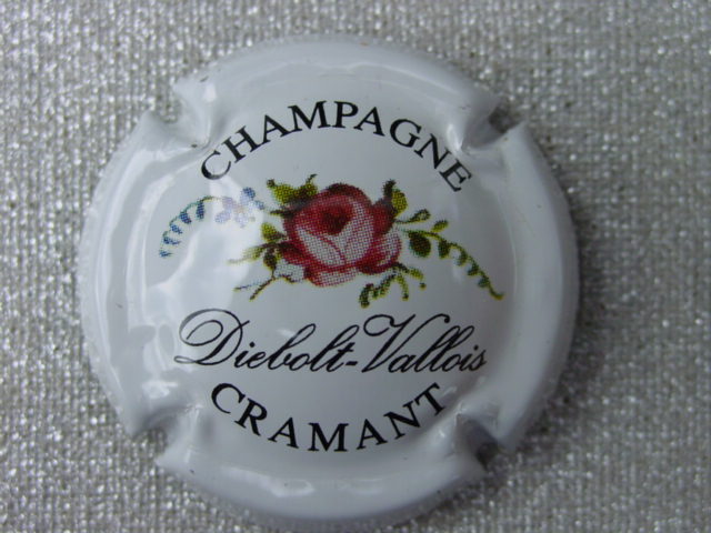 Photo de la capsule