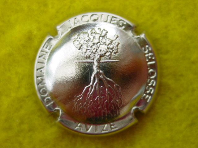 Photo de la capsule
