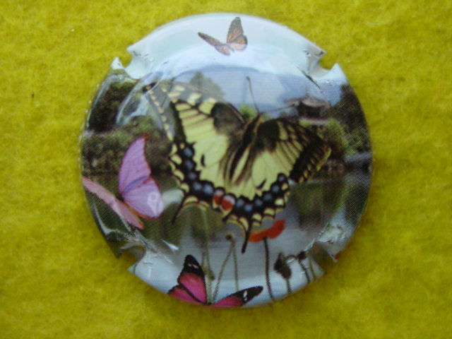 Photo de la capsule
