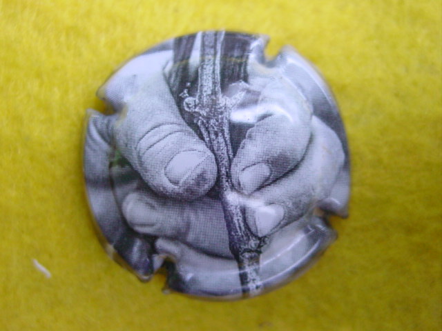 Photo de la capsule