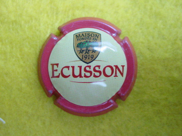 Photo de la capsule
