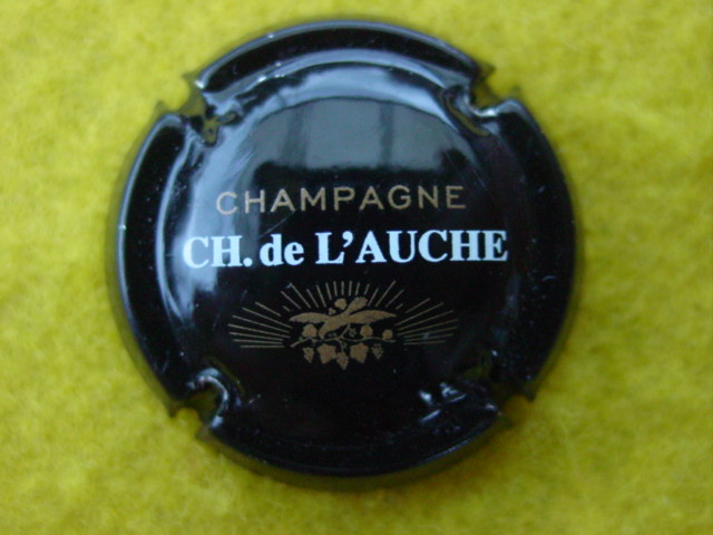 Photo de la capsule