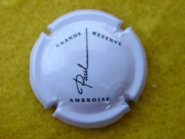 Photo de la capsule