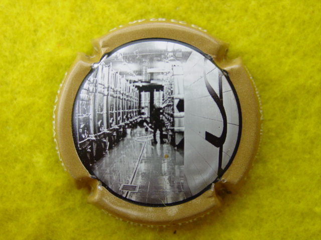Photo de la capsule