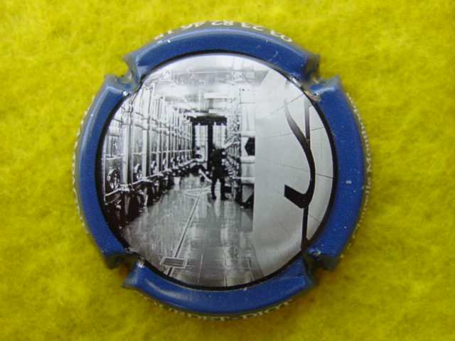 Photo de la capsule