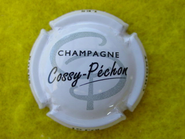 Photo de la capsule