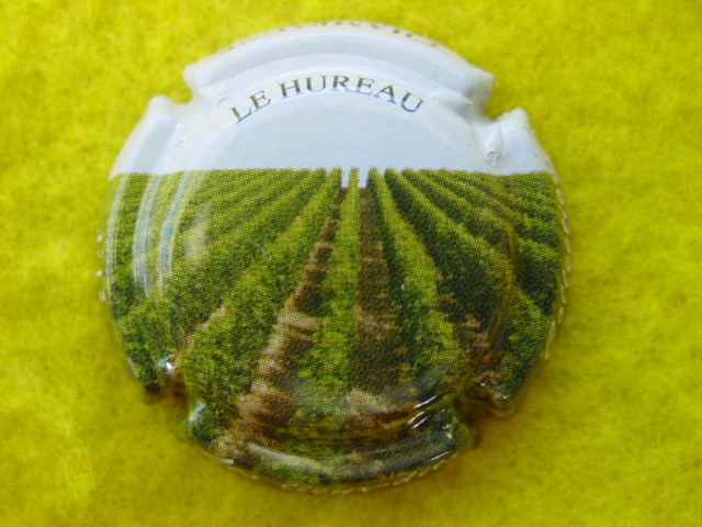 Photo de la capsule