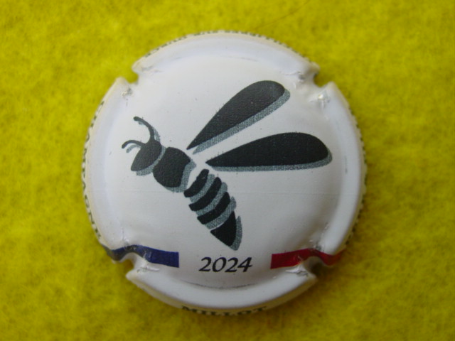Photo de la capsule