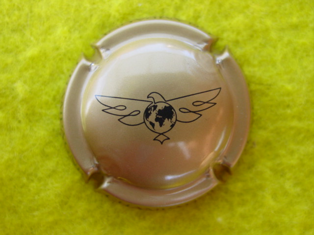 Photo de la capsule