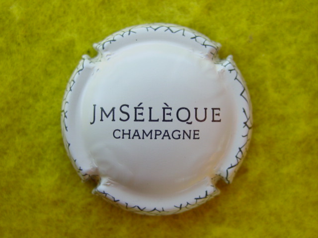 Photo de la capsule