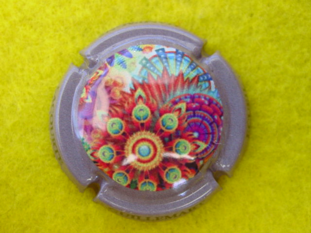 Photo de la capsule